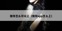 推特怎么可以上（推特app怎么上）