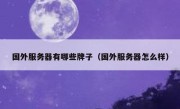 国外服务器有哪些牌子（国外服务器怎么样）