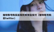 推特账号购买后如何用微信支付（推特账号购买twitter）