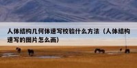 人体结构几何体速写校验什么方法（人体结构速写的图片怎么画）