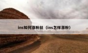 ins如何涨粉丝（ins怎样涨粉）