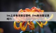 ins上会有访客记录吗（ins有访客记录吗?）