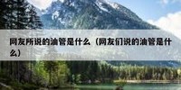 网友所说的油管是什么（网友们说的油管是什么）