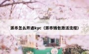 派币怎么开通kyc（派币钱包激活流程）