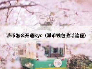 派币怎么开通kyc（派币钱包激活流程）
