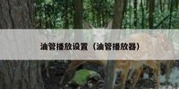 油管播放设置（油管播放器）
