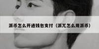 派币怎么开通钱包支付（派兀怎么用派币）