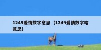 1249爱情数字意思（1249爱情数字啥意思）