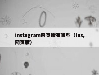 instagram网页版有哪些（ins,网页版）