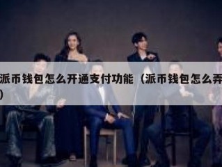 派币钱包怎么开通支付功能（派币钱包怎么弄）