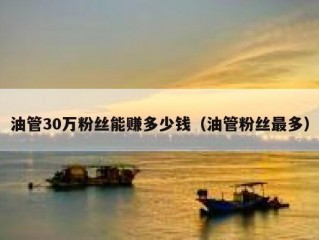 油管30万粉丝能赚多少钱（油管粉丝最多）