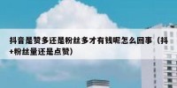抖音是赞多还是粉丝多才有钱呢怎么回事（抖+粉丝量还是点赞）