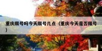 重庆限号吗今天限号几点（重庆今天是否限号）