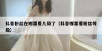 抖音粉丝在哪里看几级了（抖音哪里看粉丝等级）