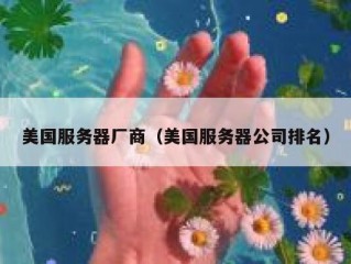 美国服务器厂商（美国服务器公司排名）