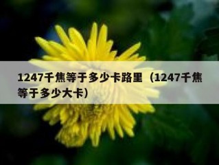 1247千焦等于多少卡路里（1247千焦等于多少大卡）
