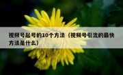 视频号起号的10个方法（视频号引流的最快方法是什么）