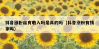 抖音涨粉丝有收入吗是真的吗（抖音涨粉有钱拿吗）
