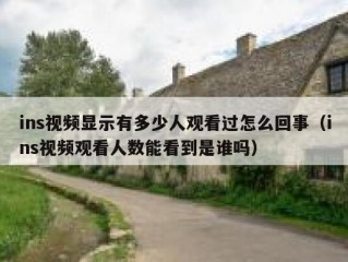 ins视频显示有多少人观看过怎么回事（ins视频观看人数能看到是谁吗）