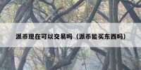 派币现在可以交易吗（派币能买东西吗）