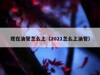现在油管怎么上（2021怎么上油管）