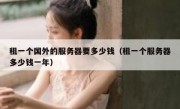 租一个国外的服务器要多少钱（租一个服务器多少钱一年）