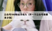 公众号500粉丝月收入（开一个公众号需要多少钱）
