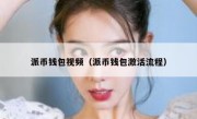 派币钱包视频（派币钱包激活流程）