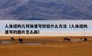 人体结构几何体速写校验什么方法（人体结构速写的图片怎么画）