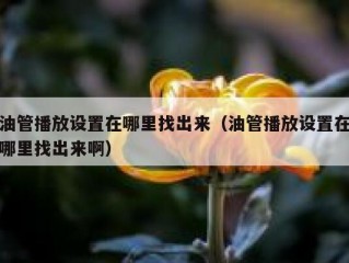 油管播放设置在哪里找出来（油管播放设置在哪里找出来啊）