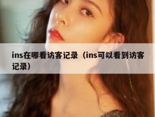 ins在哪看访客记录（ins可以看到访客记录）