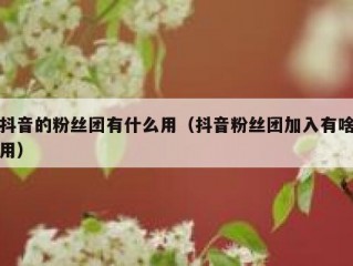 抖音的粉丝团有什么用（抖音粉丝团加入有啥用）