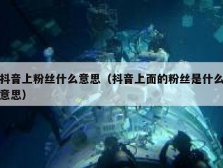 抖音上粉丝什么意思（抖音上面的粉丝是什么意思）