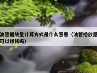 油管播放量计算方式是什么意思（油管播放量可以赚钱吗）