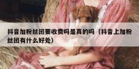 抖音加粉丝团要收费吗是真的吗（抖音上加粉丝团有什么好处）