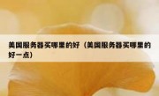 美国服务器买哪里的好（美国服务器买哪里的好一点）