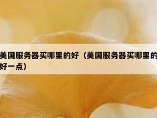美国服务器买哪里的好（美国服务器买哪里的好一点）