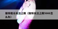 推特提示关注上限（推特关注上限5000怎么办）