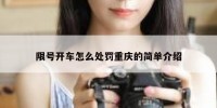 限号开车怎么处罚重庆的简单介绍