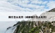 限行怎么处罚（成都限行怎么处罚）