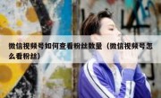 微信视频号如何查看粉丝数量（微信视频号怎么看粉丝）