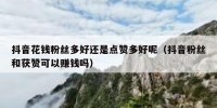 抖音花钱粉丝多好还是点赞多好呢（抖音粉丝和获赞可以赚钱吗）