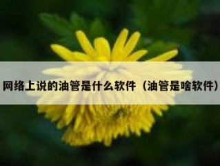 网络上说的油管是什么软件（油管是啥软件）