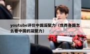 youtube评价中国凝聚力（世界各国怎么看中国的凝聚力）