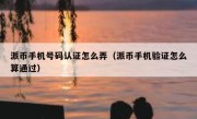 派币手机号码认证怎么弄（派币手机验证怎么算通过）
