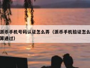 派币手机号码认证怎么弄（派币手机验证怎么算通过）