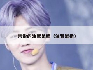 常说的油管是啥（油管是指）