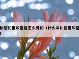 油管的播放量是怎么算的（什么叫油管播放量）