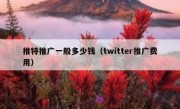 推特推广一般多少钱（twitter推广费用）