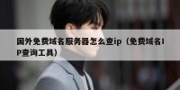 国外免费域名服务器怎么查ip（免费域名IP查询工具）